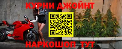 дмт Ставрополь