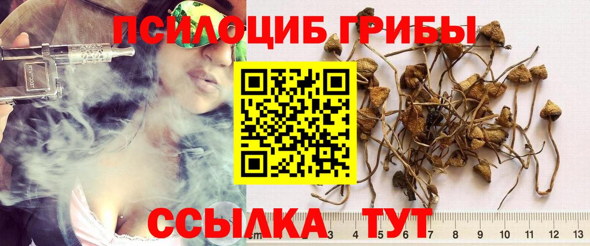 Асино  Галлюциногенные грибы мухоморы  Вход с VPN 