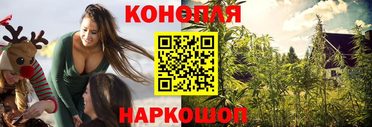 Асино  Каннабис конопля  Шишки марихуана планчик  Вход с VPN 